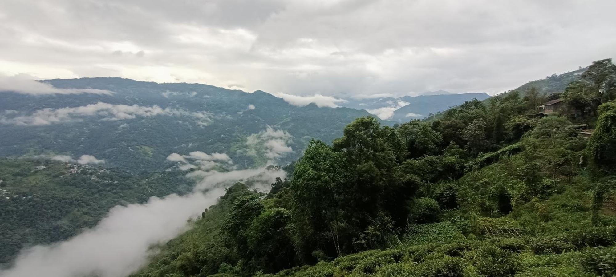 Tharbaling Homestay 다르질링 외부 사진
